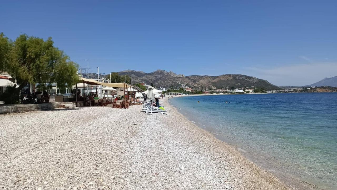 Alexadra'S House Κάτω Αλμυρή Leilighet Eksteriør bilde