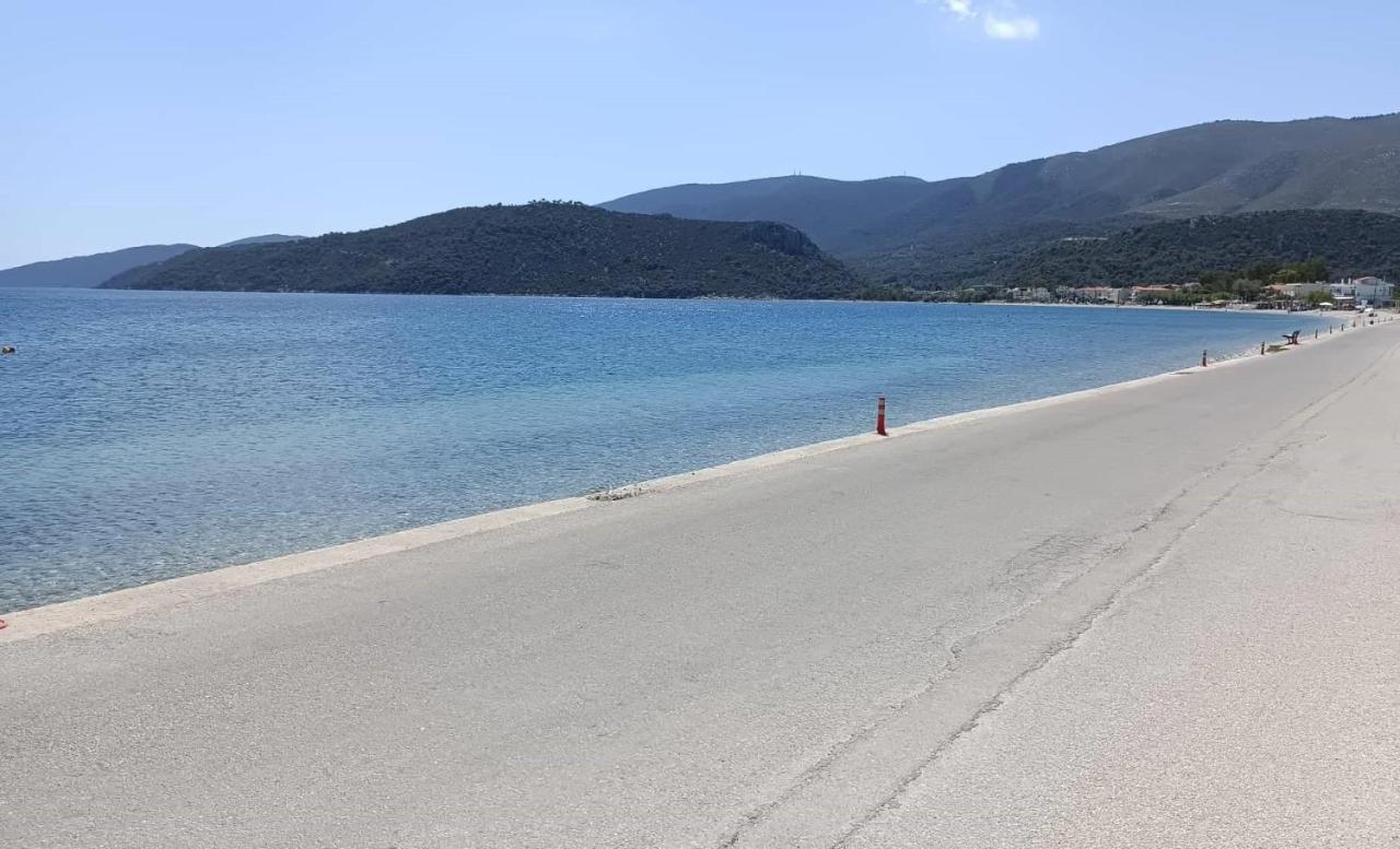 Alexadra'S House Κάτω Αλμυρή Leilighet Eksteriør bilde