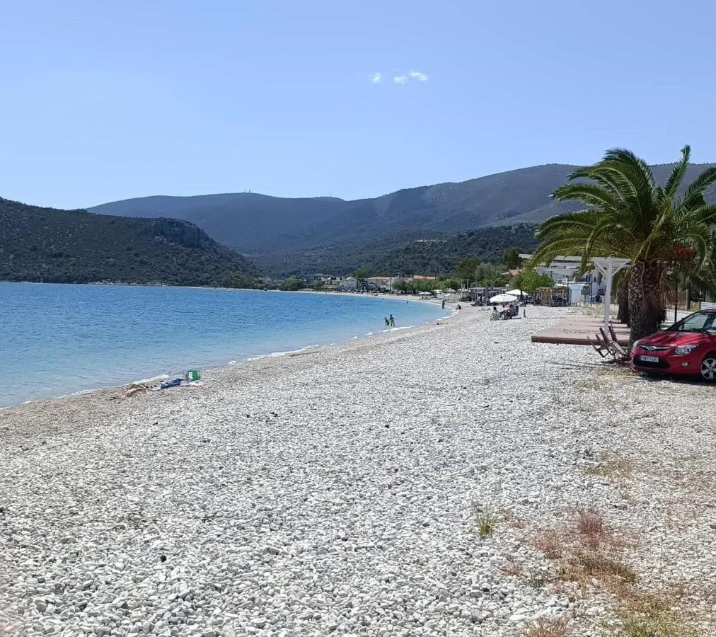 Alexadra'S House Κάτω Αλμυρή Leilighet Eksteriør bilde
