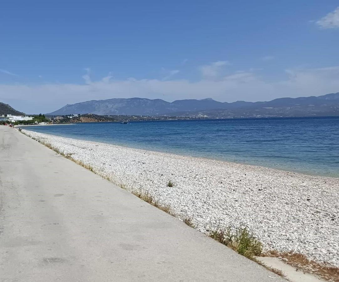 Alexadra'S House Κάτω Αλμυρή Leilighet Eksteriør bilde