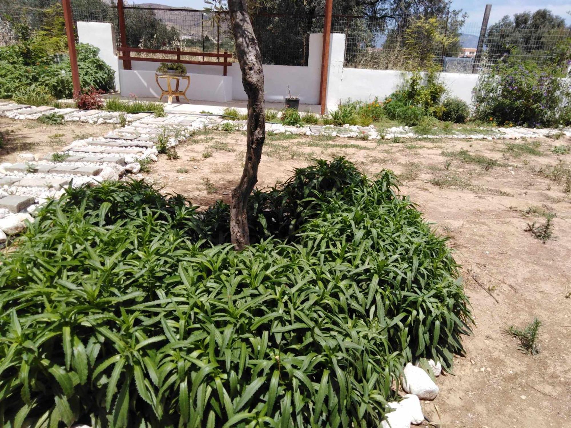 Alexadra'S House Κάτω Αλμυρή Leilighet Eksteriør bilde